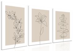 three framed art prints with flowers and leaves on the same wall, one in neutral tones