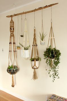 several hanging planters with plants in them on a wall next to a bench and table