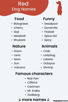 a red dog names list for dogs