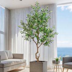 a living room with a couch and a potted tree in the middle of it