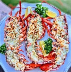 lobsters on a plate with lemon wedges and broccoli garnish