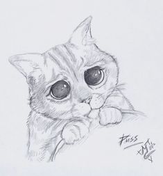 a pencil drawing of a cat with big eyes