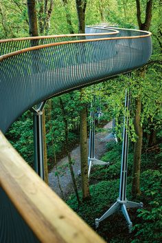 an elevated walkway in the middle of a forest