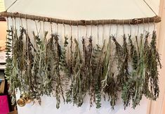 dried herbs hanging from a rope on a wall