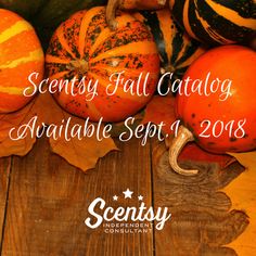 several pumpkins and gourds on a wooden table with the words scenesy fall catalog available sep 1, 2018