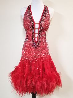 Scarlet Siren Sadi Photo, Cancan Dress, Ostrich Feather Skirt, Latin Dance Clothes, Fitted Ballroom Dancewear Dress, Ballroom Dress Stoning, Ballroom Dance Dresses Latin Samba, Salsa Dresses, Scarlet Dress