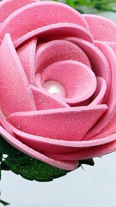 a pink rose that is sitting in the water