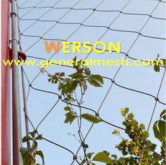 an image of a fence that has vines growing on it and the words, version