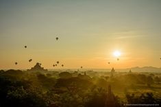 many hot air balloons are flying in the sky over some trees and buildings at sunset