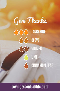 Give Thanks Essential Oil Blend for Thanksgiving by Loving Essential Oils - Clove, Tangerine, Nutmeg Thanksgiving Diffuser Blends, Fall Essential Oil Blends, Fall Essential Oils, Fall Diffuser Blends