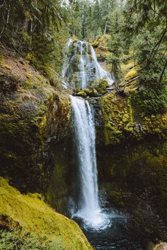 a waterfall in the middle of a forest with moss growing on it's sides