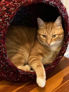 an orange and white cat laying in a red crocheted bed on top of a wooden floor