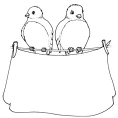 two birds sitting on top of a cloth