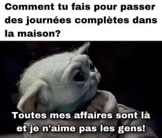 an image of a baby yoda with the caption'comment tu fas pour passer des journes completes complets d'la maison?