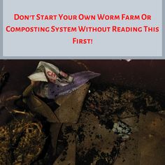 a pile of garbage with the words don't start your own worm farm or composting system without reading this first