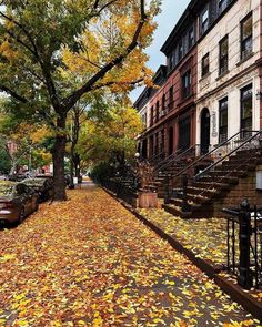 an autumn scene with leaves on the ground and stairs leading up to some brownstone buildings