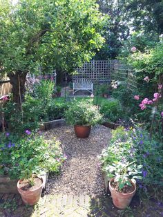 a garden filled with lots of different types of potted plants and flowers on top of gravel