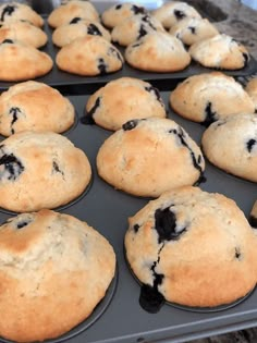 freshly baked blueberry muffins cooling in the oven