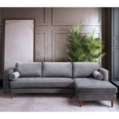 a living room with a gray couch and potted plant