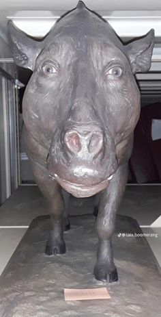 a large black cow standing in the middle of a garage