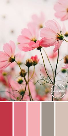 pink and grey color palette with flowers in the middle, including one flower on each side