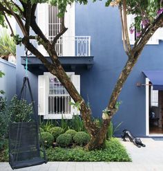 a blue house with white windows and trees in the front yard, next to a black swing