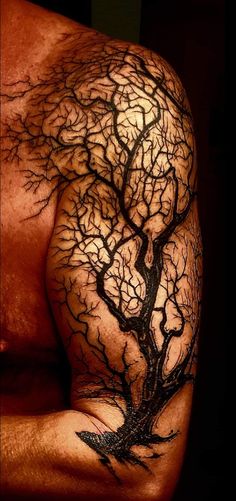 a man with a tree tattoo on his back and shoulder, showing it's branches