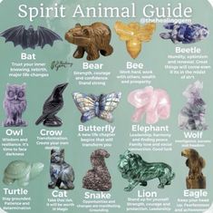 Mars Crystals, Ancestral Spirituality, Spirit Animal Meaning, Day Of Birth, Animal Meanings, Fierce Tiger, Animal Communication, Spiritual Animal, Animal Spirit Guides