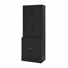 a tall black cabinet with two doors