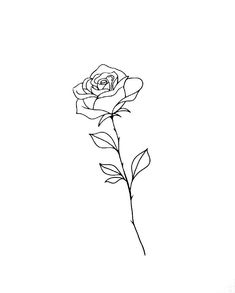 Rose Tattoo Without Stem, Rose Tattoo Men Chest, Stencils Simple, Red Flower Tattoo, Rose Stem Tattoo, Stencil Simple, Henna Tattoo Diy, Tattoo Bible, Rose Tattoo Stencil