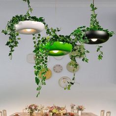 plants hang from the ceiling above a dining room table