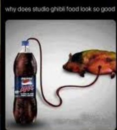 an animal that is plugged in to a soda bottle with the caption, why does studio girl food look so good?