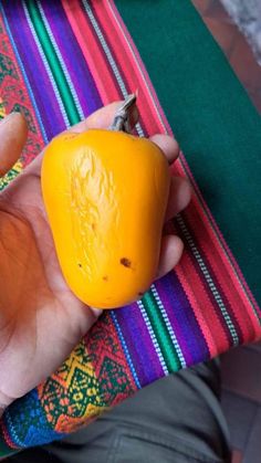 a person holding a yellow pepper in their hand