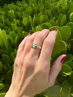 Vintage 10K Solid Gold Double Hands Fede Ring This vintage 10k solid gold double hands ring, marked by Fedde, features an inscription inside that reads "Love ya', Rita." Weighing 5.58 grams and sized at 6, this ring is a unique piece that adds character to any collection. This piece, like all our jewelry, is a unique find--once it's gone, it's gone--unlikely to be sourced again! Choosing this piece is a win-win: You'll stand out from the crowd & help the environment by shopping sustainably! Fede Ring, Help The Environment, Hand Ring, Timeless Gifts, Fort Lauderdale, Stackable Rings, Accessories Jewelry, Rings Statement, Ring Shopping