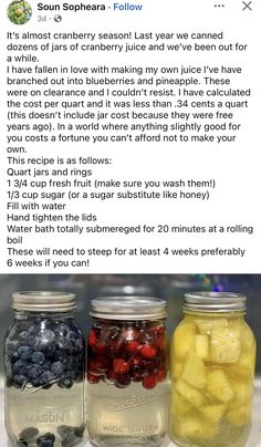 Vegetable Canning Recipes, Homestead Binder, Canning Juice, Vegetable Canning, Homegrown Recipes, Canning For Beginners, Homemade Juices, Canning Granny