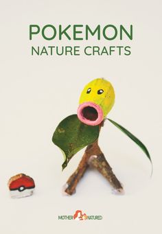 the cover of pokemon nature crafts