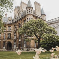 flowers in front of a large building with trees and grass on the ground below it