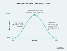 a diagram showing the effect of an individual's performance