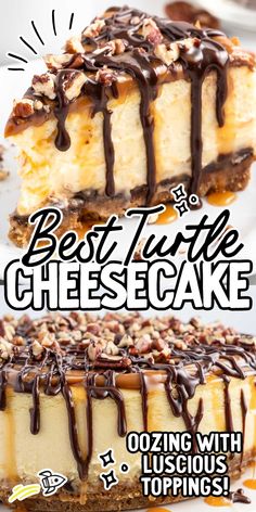 two cheesecakes with chocolate drizzle on top and the words best turtle cheesecake