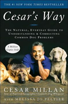 cesar's way the natural everyday guide to understand and conquer