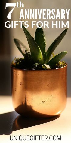 a potted plant sitting on top of a table with the words seven anniversary gifts for him