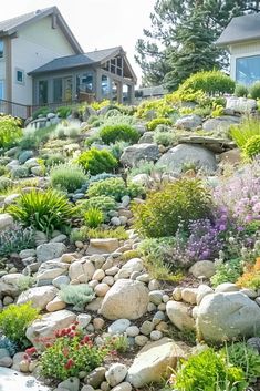 a hillside with lots of rocks and plants growing on top of it in front of a house