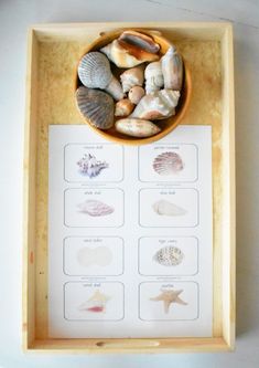 a bowl filled with sea shells on top of a wooden tray next to a card