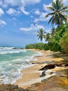 a man standing on top of a sandy beach next to the ocean with palm trees