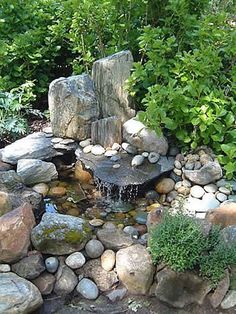 a garden with rocks, water and plants