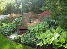 there is a bench in the middle of this garden