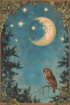 an owl sitting on a tree branch in front of a full moon and stars sky