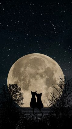 two cats are standing in front of the full moon