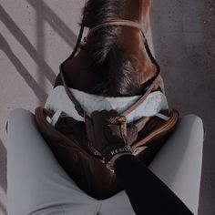 a brown horse standing on top of a white floor next to a person's leg