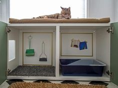 a cat laying on top of a shelf in a window sill next to a blue bin